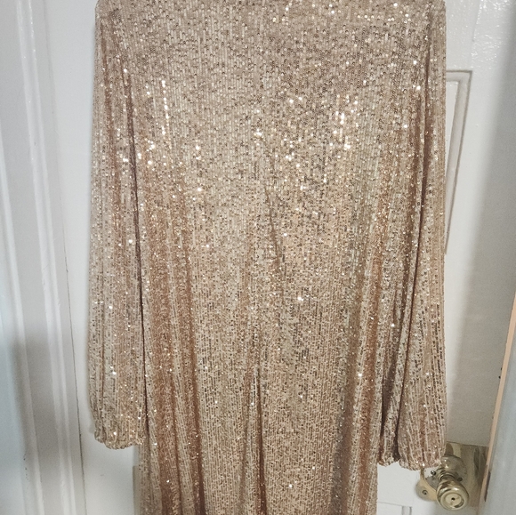 Preston & York Gold Sequin Dress - Picture 3 of 4